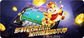 金酷牛牛