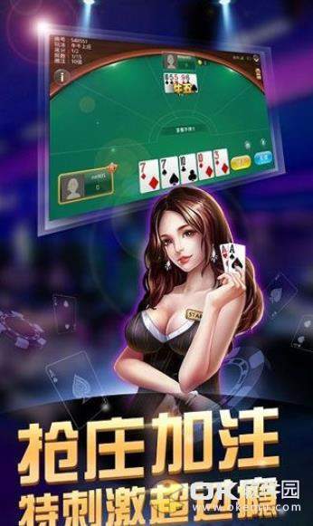 大金龙手游s222官方版