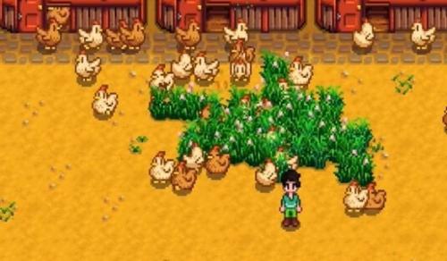 星露谷物语鸡蛋孵出小鸡方法