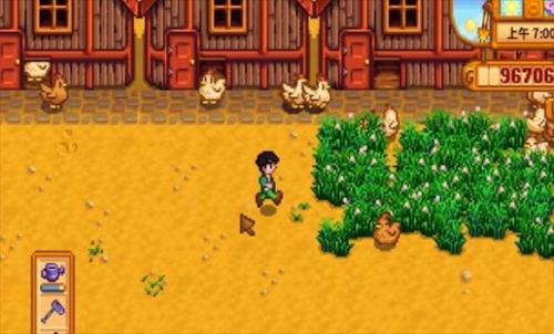 星露谷物语鸡蛋孵出小鸡方法