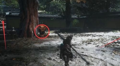 黑神话悟空黄花观观门探索攻略