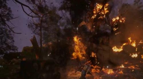 黑神话悟空抓蟋蟀攻略