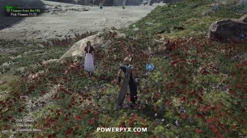 最终幻想7重生山丘上绽放的花怎么完成