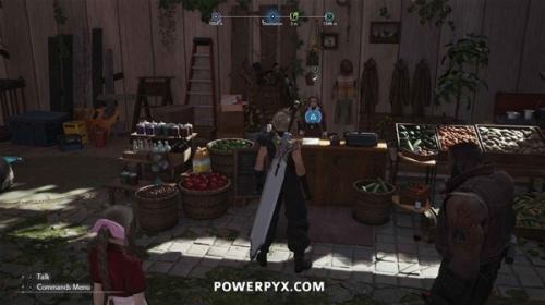 最终幻想7重生山丘上绽放的花怎么完成