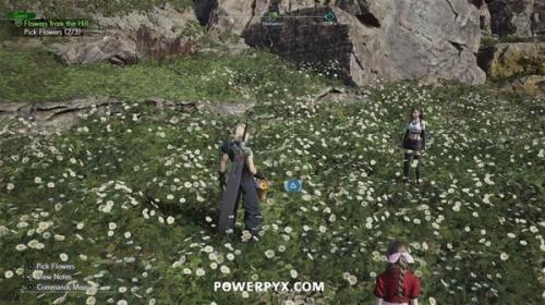最终幻想7重生山丘上绽放的花怎么完成