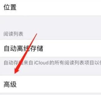 safari浏览器高级设置怎么设置
