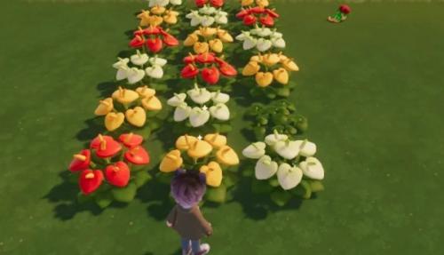 心动小镇彩虹繁育粉使用教程