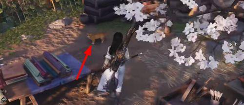 燕云十六声猫猫两撮毛位置介绍