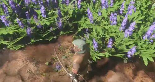 雾锁王国稻草获得方法