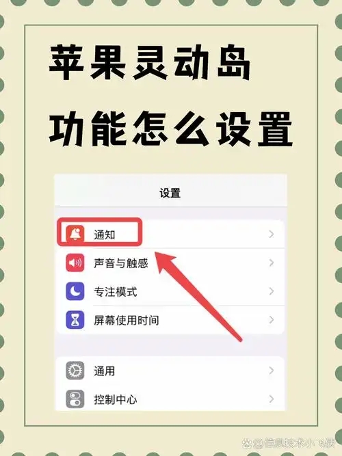 苹果灵动岛功能怎么玩