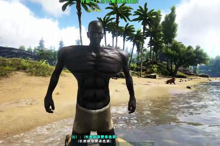 方舟进化生存哪个服国人多