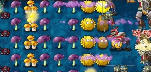 植物大战僵尸融合版冒险模式第十关攻略
