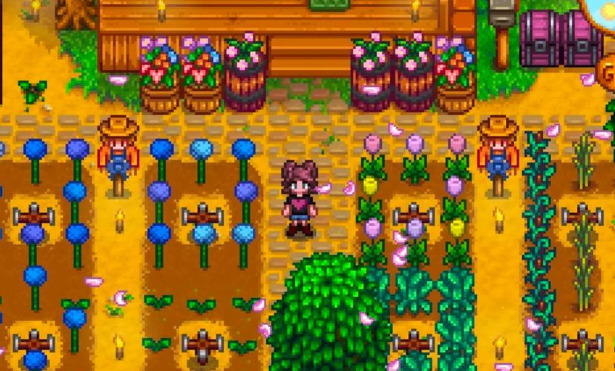 星露谷物语混合种子是干什么的