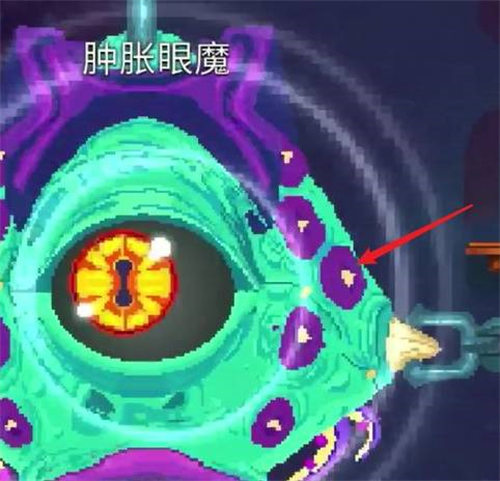 重生细胞里的蜘蛛符文怎么获得