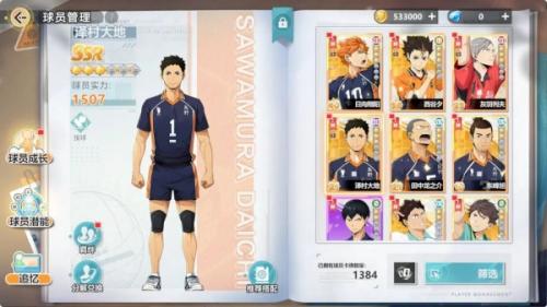 排球少年新的征程泽村大地强度介绍